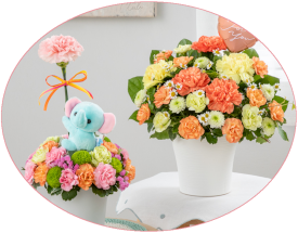 ��̓� �A�����W�����g